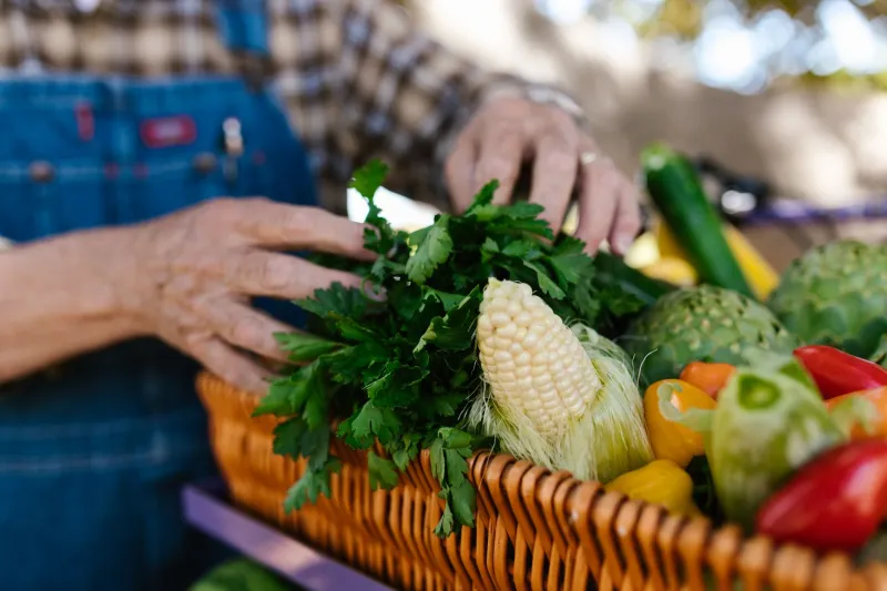 Rooted in Region: The Sourcing Story Behind Every Plate at Jay's Restaurant Group